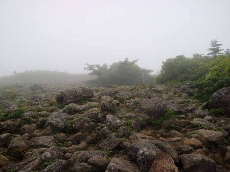 この付近がかもしか展望台だと思われるけど何の看板もない