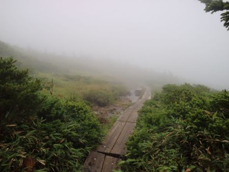 木道になってここから下りになる