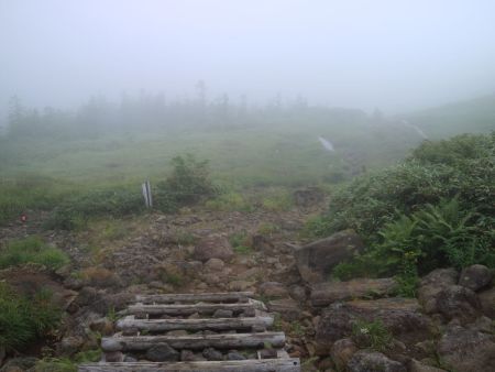 下ったところで高原地帯に出た。晴れていたらここも綺麗に見えるんだろう