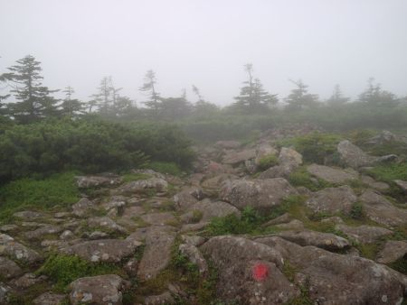 登りが終わると赤いペンキを辿ってルートを進んでいく。視界がなければ迷いそうな感じかも