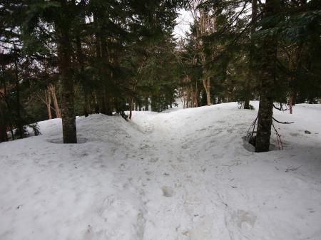 今年の冬は雪山を堪能できなかったので、今回の雪道は嬉しい