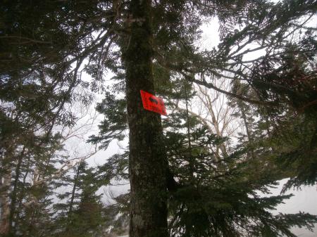 あと西穂山荘まで500mというところだが、この500mは長いものとなる