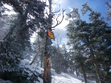 あと100mというところまできた。あともう少し！急登はほぼ山荘の近くまで続く