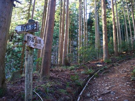 野坂山頂まで約2時間20分と記載されていたので、まだここでも覚悟はしていたが・・・