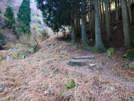 沢沿いのつづら折れになった登山道を登っていくが、ハイペースになりがちになっていた