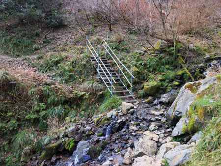 何か所か沢を渡たるところがあったけど、ここは階段まで設置されていた