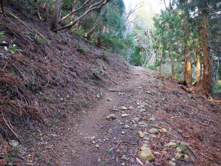 こういうなだらかな登山道をつづら折れになって登っていくんだけど、楽なのかやっぱりハイペースになる