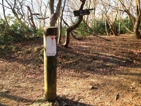 山頂まで2km地点。ここからは地図で尾根になっているんだけど、結局つづら折れの道が続いていく