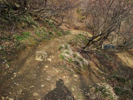 行者岩というのがあるらしいけど、あまり興味がないのでここはスルーして山頂を目指す