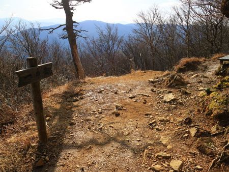 一の岳という地点に到着。別にピークでもなんでもないところなんだけど、ここにはベンチが設置されていた