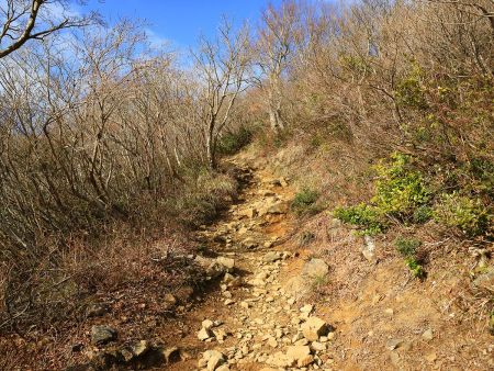 空が明るくなってきた。今までの感ではこういうところになってくるとコル部かピークが近い