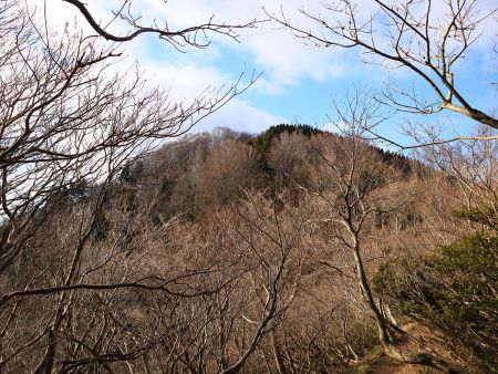 これから登るピークが見えたんだけど、山頂はさらに向こう側のピークになる