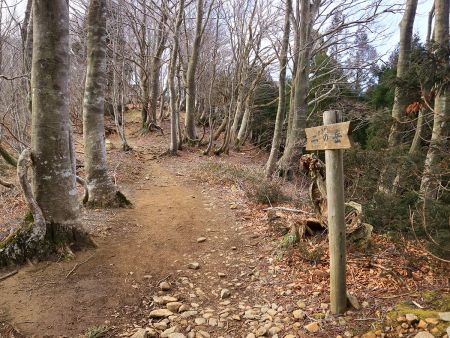 二の岳という地点に到着。登山道の途中なんだけどなんか意味のある場所なんかな！？
