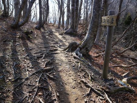 ちょっとしたピークというか、登ったところで三の岳という地点に到着した。ここから山頂はもう近い