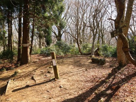 さっさとハイペースで下山して山頂まで2km地点まで下りてきた