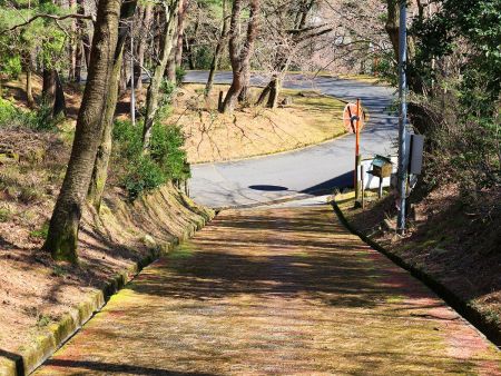 野坂岳登山口まで下ってきた。かなりのハイペースだったので下山に1時間もかからなかった