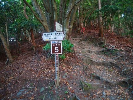 通報ポイント５地点。ここで尾根の下りが終わるというか、尾根取りつきはこの地点になる
