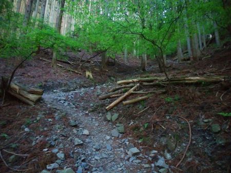 尾根からこのようなガレ場を下っていく。ちょっと下りは歩きにくいかも