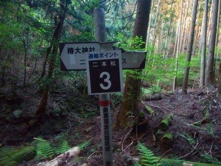 通報ポイント３地点。この後から沢筋に入る