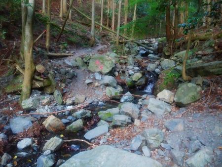 沢を渡ったりしながら沢筋を歩いていく