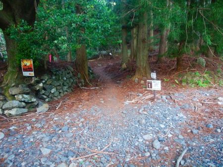 通報ポイント１地点に下ってきた。ここが二本松コース登山口になる