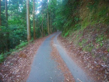 林道はこんな感じで車であがっていけそうだけど駐車場がないんよね