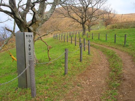 大平山まで1310mらしいけど事前に調べたコースタイムは大体30分～40分くらいだった