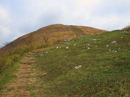 最初は少し急登だけどゆっくり登っていけば問題ないし踏み跡もしっかりある