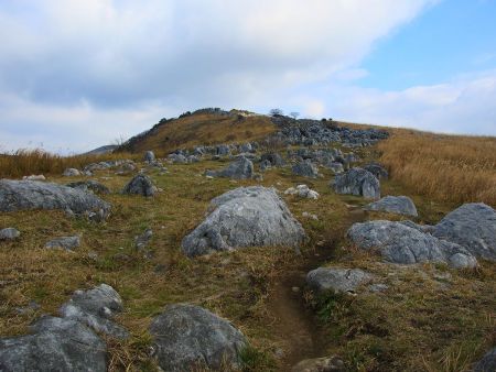 カルストというだけあってピナクルがたくさん見られる