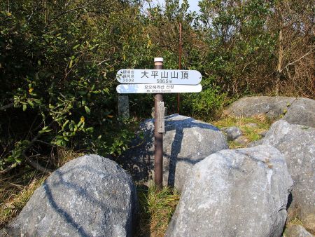 大平山山頂(586.5m)に到着。大体スローペースで35分くらいだったかも