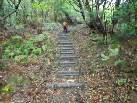 登山道に入るといきなり階段が続く。階段の道は息切れしやすいのでペースダウンしてゆっくり登っていった
