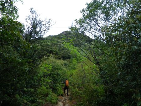 向かいに見える鉄塔までまずは登ることになる。ここで階段は終わりかと思ったらまだ続いていた
