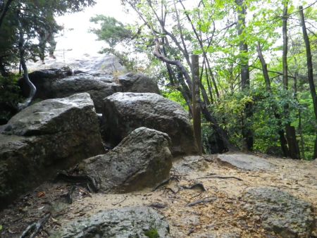 奥の院展望所まで登ってきて景色を見てみる