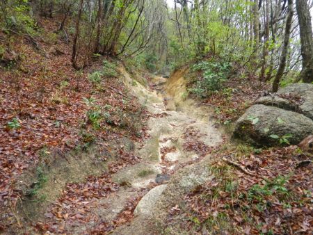 この付近からは下が岩場の登山道になる。雨が降ってるし滑らないように注意しないといけない