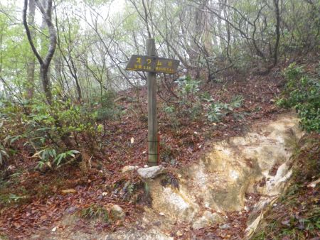 オウム岩に到着。ここでも展望を見てみるが周りは完全にガスっていたので展望はアウトだろうね