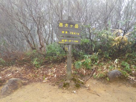 西方ヶ岳（764.1m）に登頂。次の目的地である蠑螺ヶ岳までは1.8kmらしい。ここで止まっていると寒いのでこの左側にある避難小屋に入ることにした