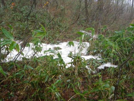 まだ日陰になっているところは残雪があった。雨が降っているのになかなかとけないのね