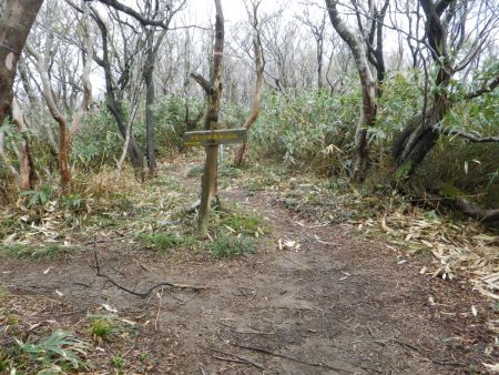 カモシカ台分岐に到着。天気も良くなってきたし、せっかくなのでカモシカ台に立ち寄ることにした