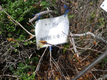 天気も晴れてきたので蠑螺ヶ岳の山頂直下にある海の見える岩へ行ってみることにした