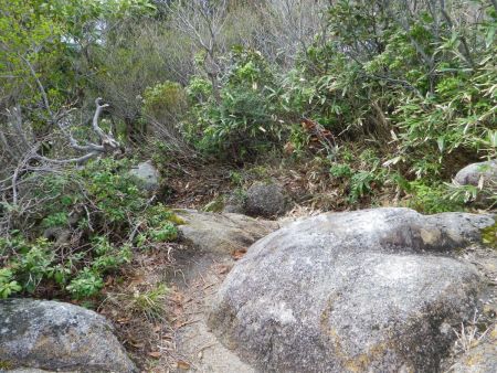 さて、バスの時間があるのでさっさと下ることにした。ここからまだ少しアップダウンが続くんだよね