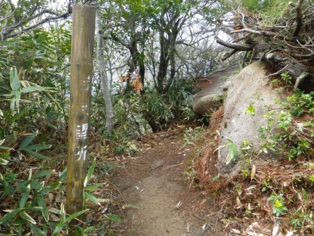 一枚岩展望所というのがあって立ち寄ることにした。バスの時間はあるけど、ちょっとくらいいいかなという感じだった