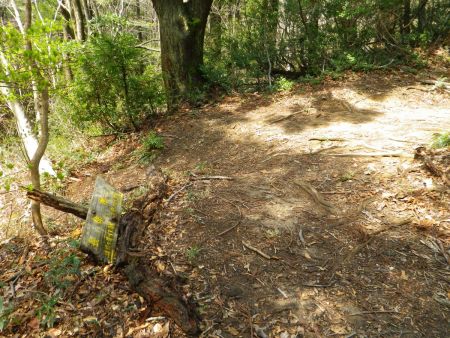 長命水に到着。水場なんてないけどね。ちなみに、この付近からアップダウンは終わって長い下りがはじまる