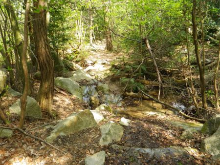 急いで下って沢まで下りてきた。地図を確認するとここまで下ってきたらあとは次なる鉄塔があって浦底は近い