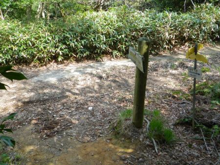 浦底登山口の入山口まで下ってきた。登山口は道路かららしいけど距離的には蠑螺ヶ岳の山頂からここまでが3kmなはず。ここを左にいって道路へ出る