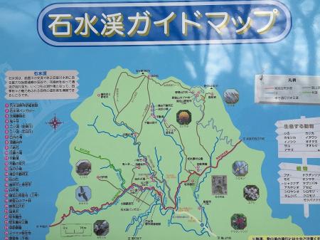入山口にはガイドマップがあったので確認