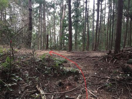 分岐があるがここは左