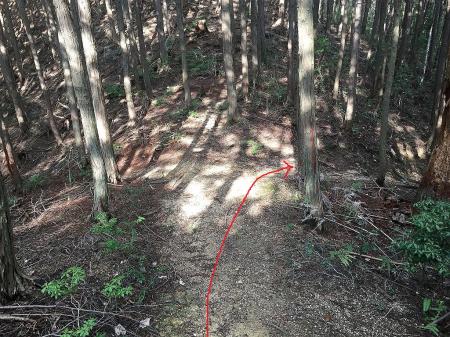 ここも直進できそうだが右へ。地図をみてみてみると直進はおそらく鬼ヶ牙へ。