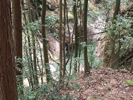 綺麗な沢が見えてきた