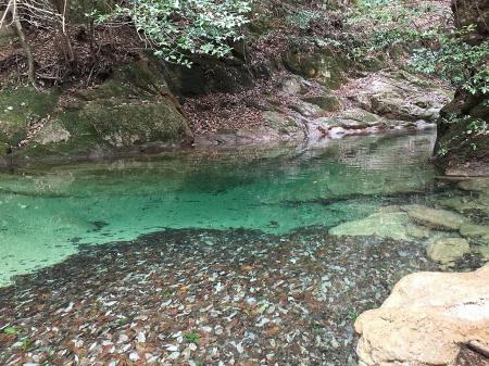 ブルー？グリーン？とにかく綺麗