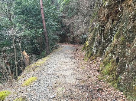 林道はこんな感じの長い道がひたすら続く